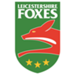 Event image Leicestershire Foxes Vitality Blast T20 - Family Day!