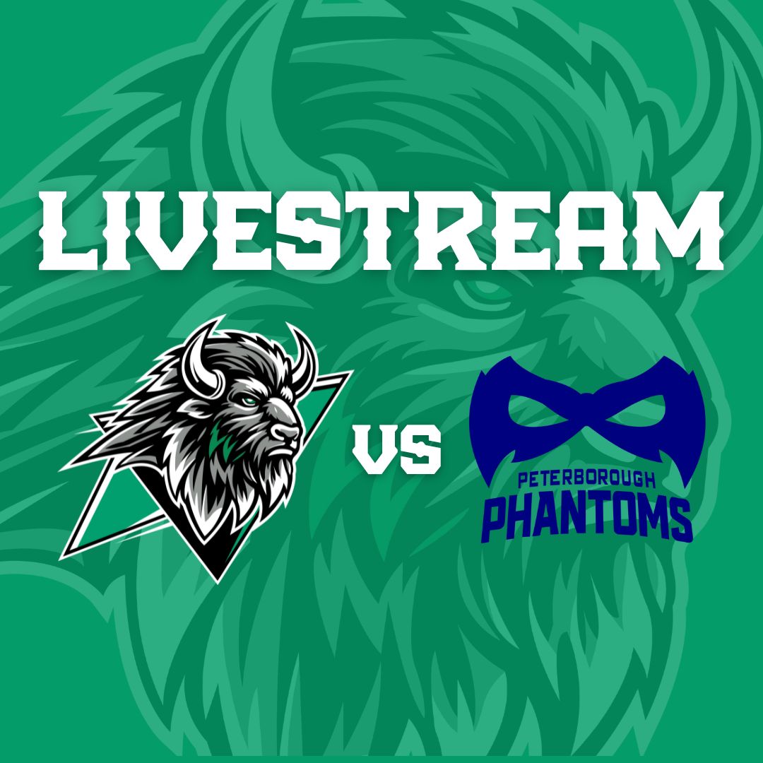 Event image Basingstoke Bison v Peterborough Phantoms Livestream - F/0 18:30