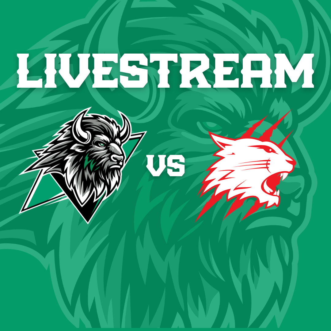 Event image Basingstoke Bison v Swindon Wildcats Livestream - F/0 19:30