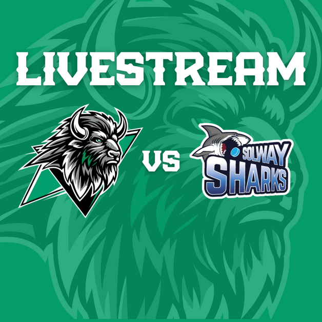 Event image Basingstoke Bison v Sheffield Steeldogs Livestream - F/0 16:15