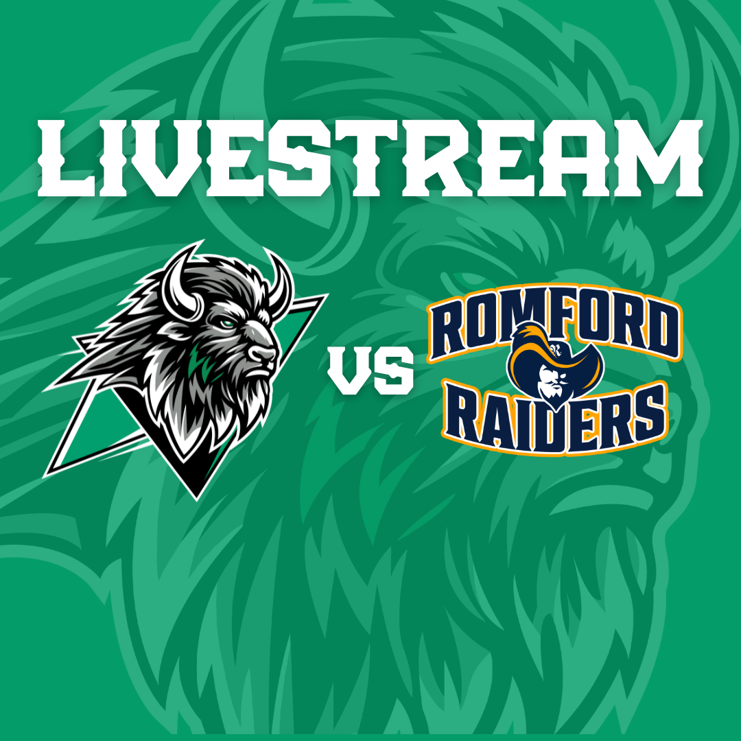 Event image Basingstoke Bison v Romford Raiders Livestream - F/0 16:15