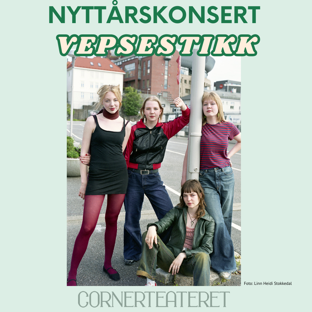 Event image Nyttårskonsert med VEPSESTIKK