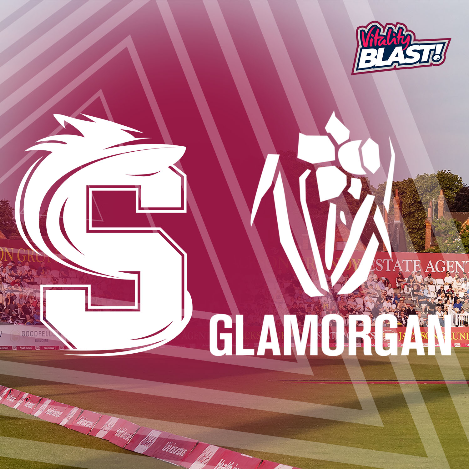 Event image Steelbacks V Glamorgan | Vitality Blast 