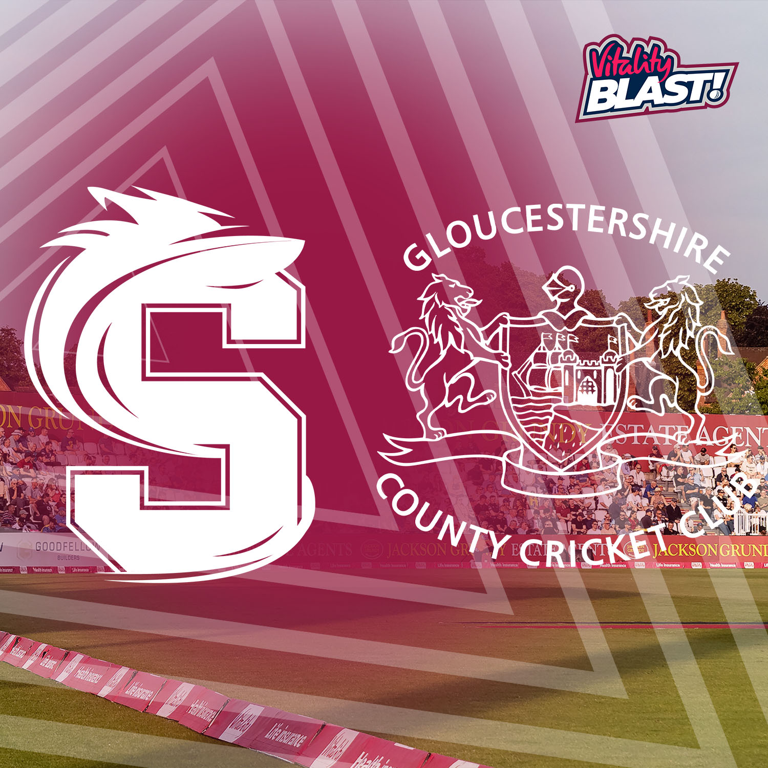 Event image Steelbacks V Gloucestershire 