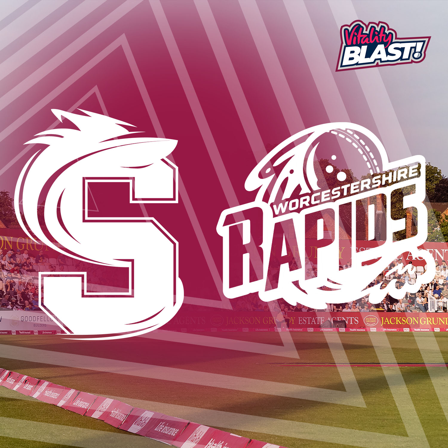 Event image Steelbacks V Worcestershire Rapids