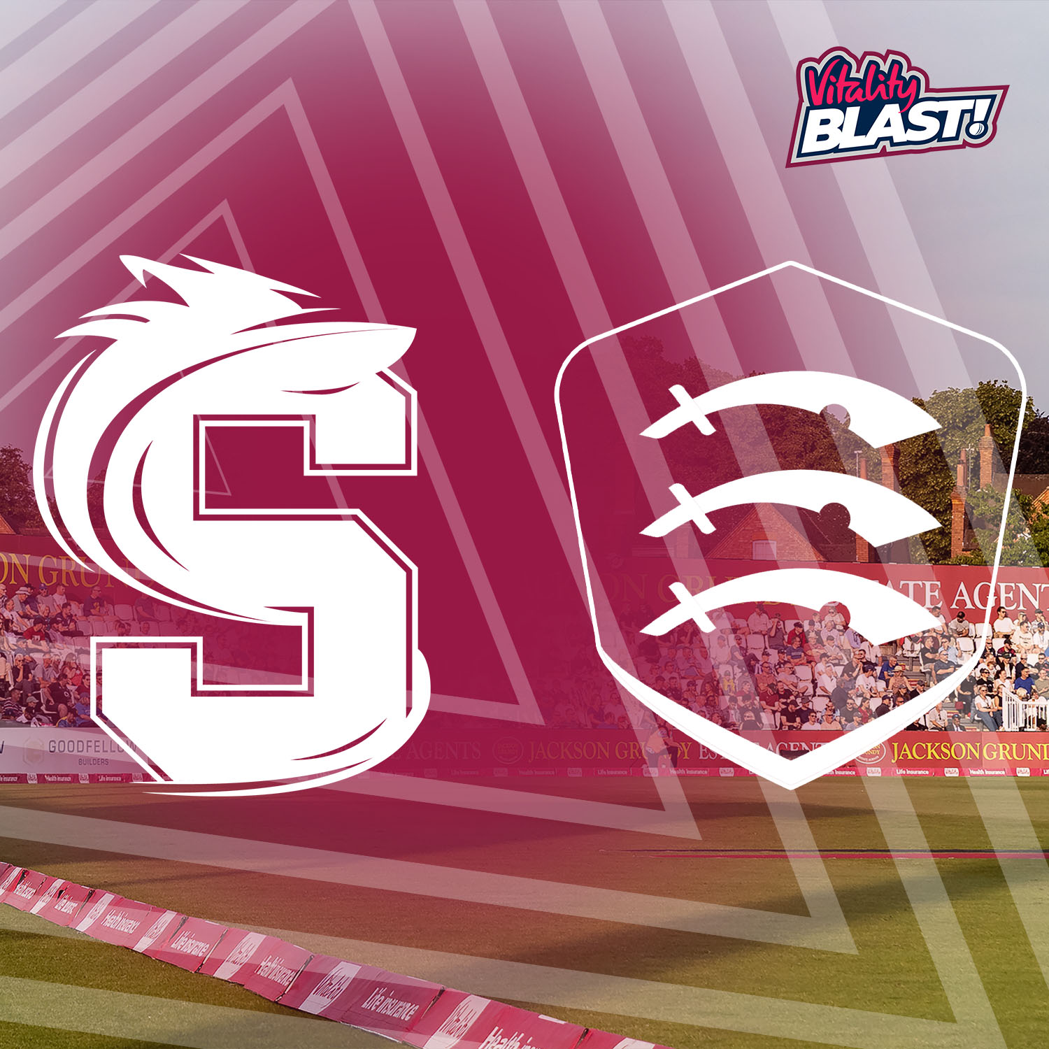 Event image Steelbacks V Essex