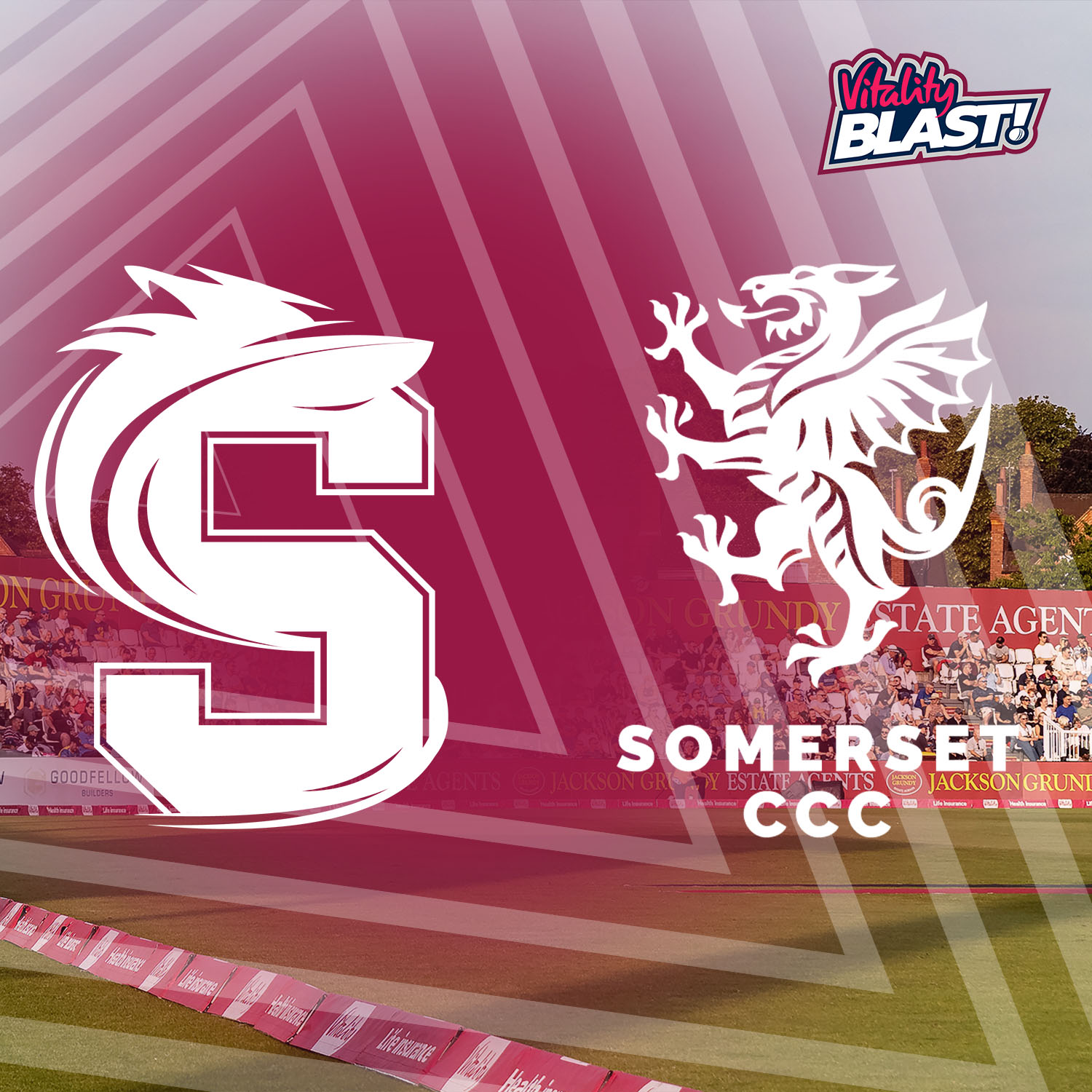 Event image Steelbacks V Somerset 