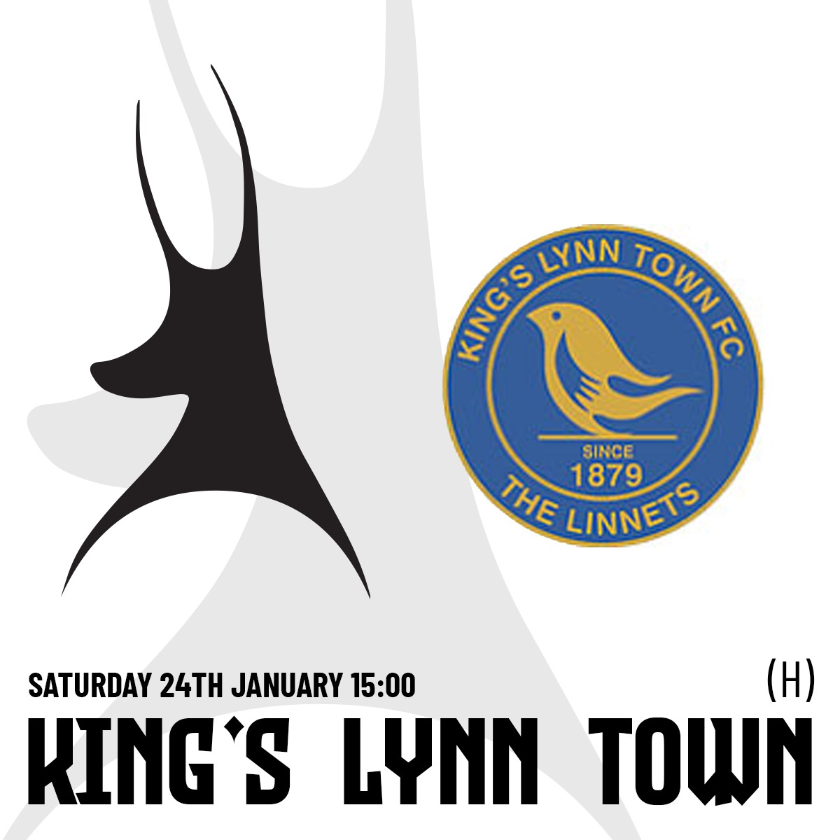 Event image 25.26 AFC Telford Utd v Kings Lynn Town FC - Home