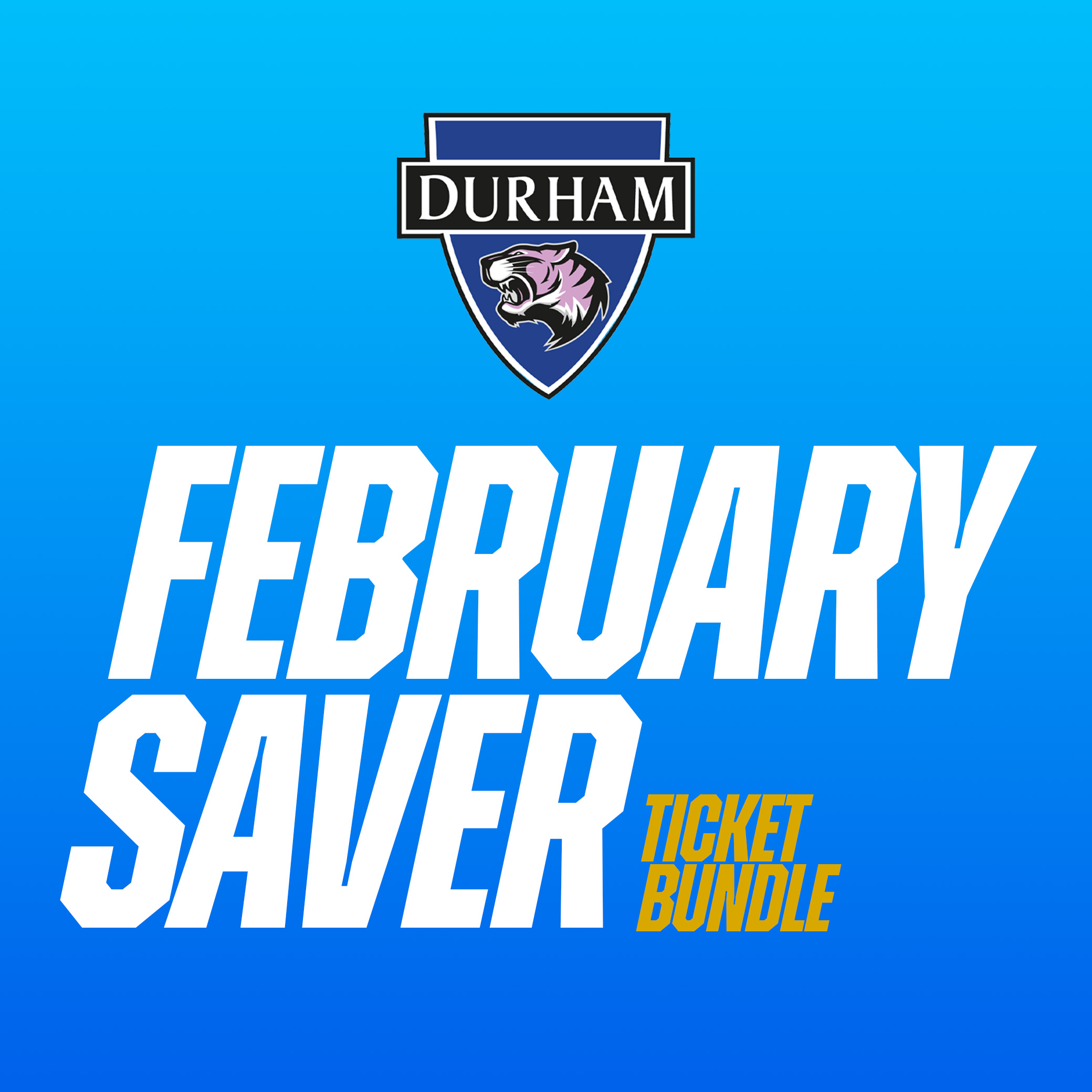 Event image February Saver - Ticket Bundle