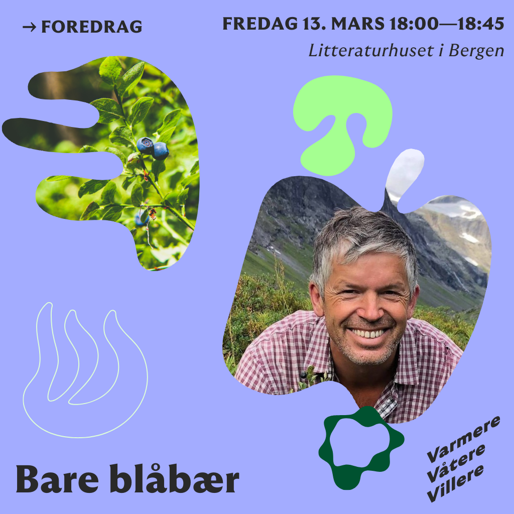 Event image Bare blåbær