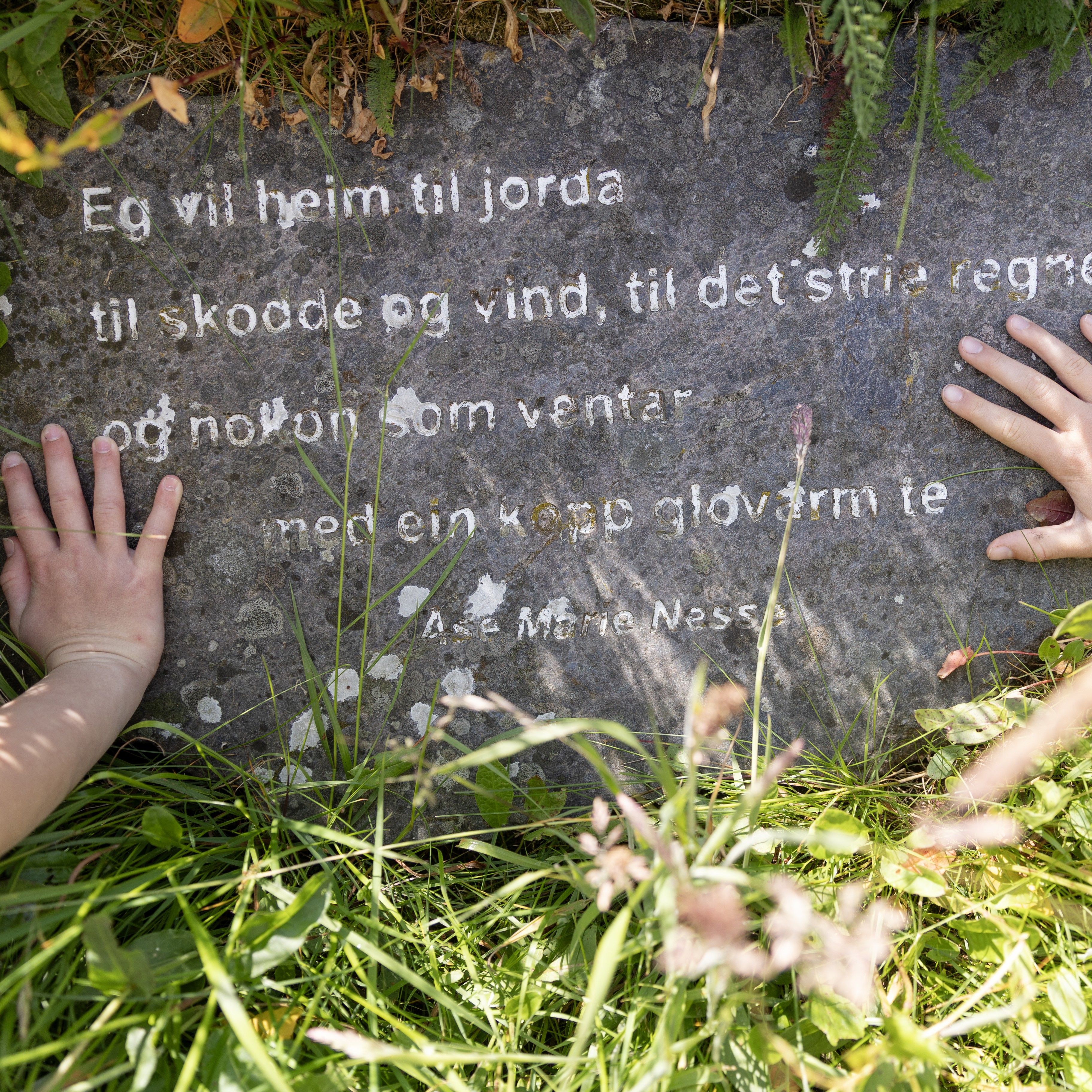 Event image Vi er fra havet