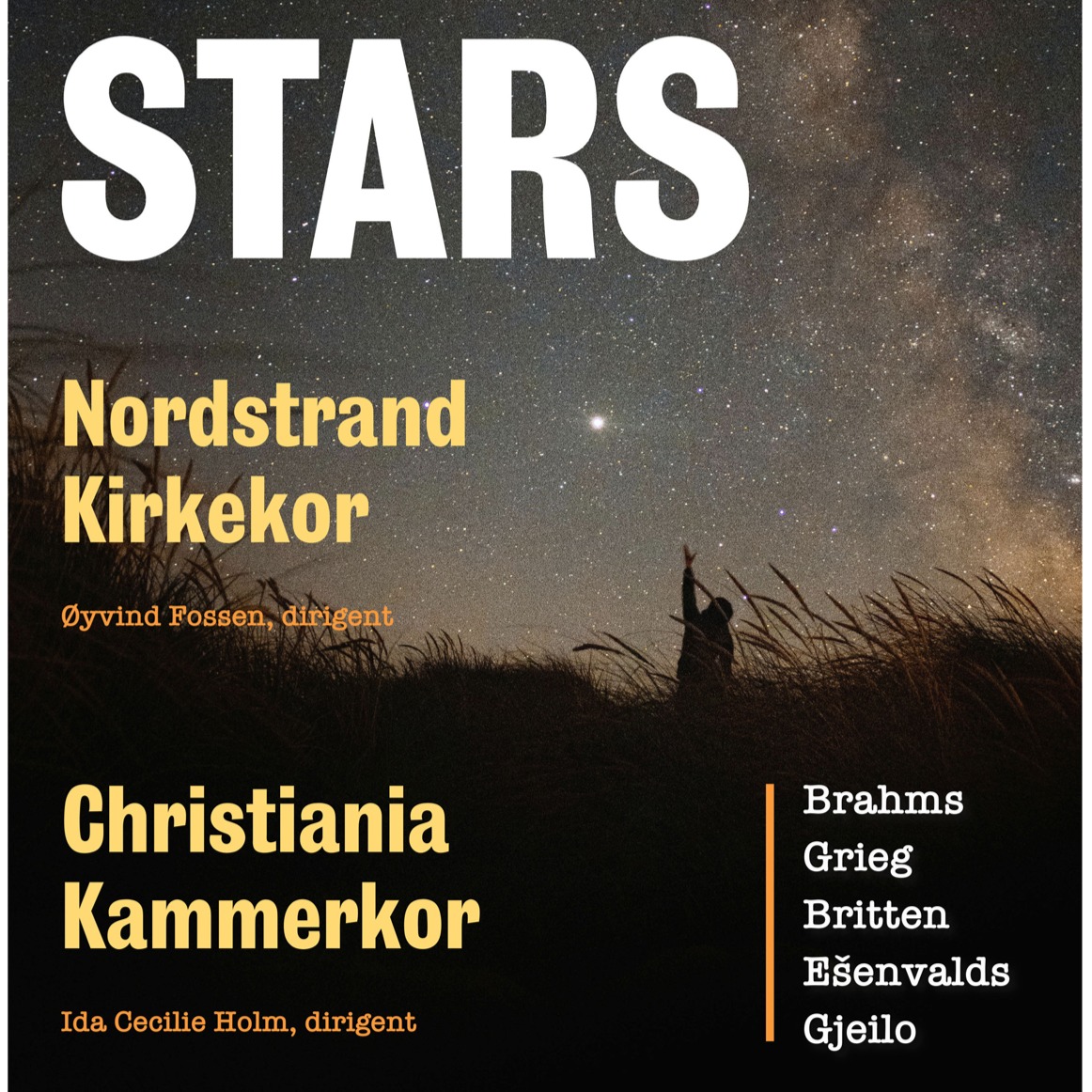 Event image Stars - Konsert med Christiania Kammerkor og Nordstrand kirkekor