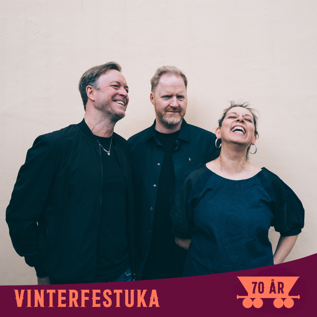 Event image D'sound i Varmestua //  Vinterfestuka 2026