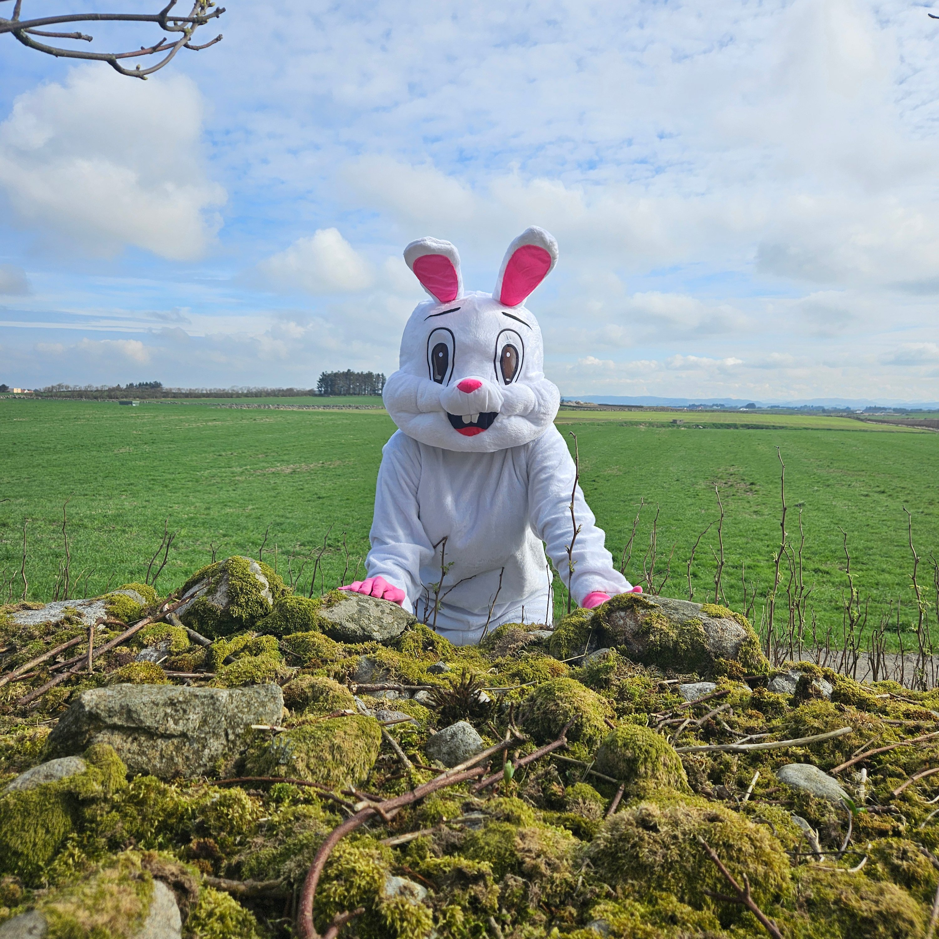 Event image Påskekos på prestegarden