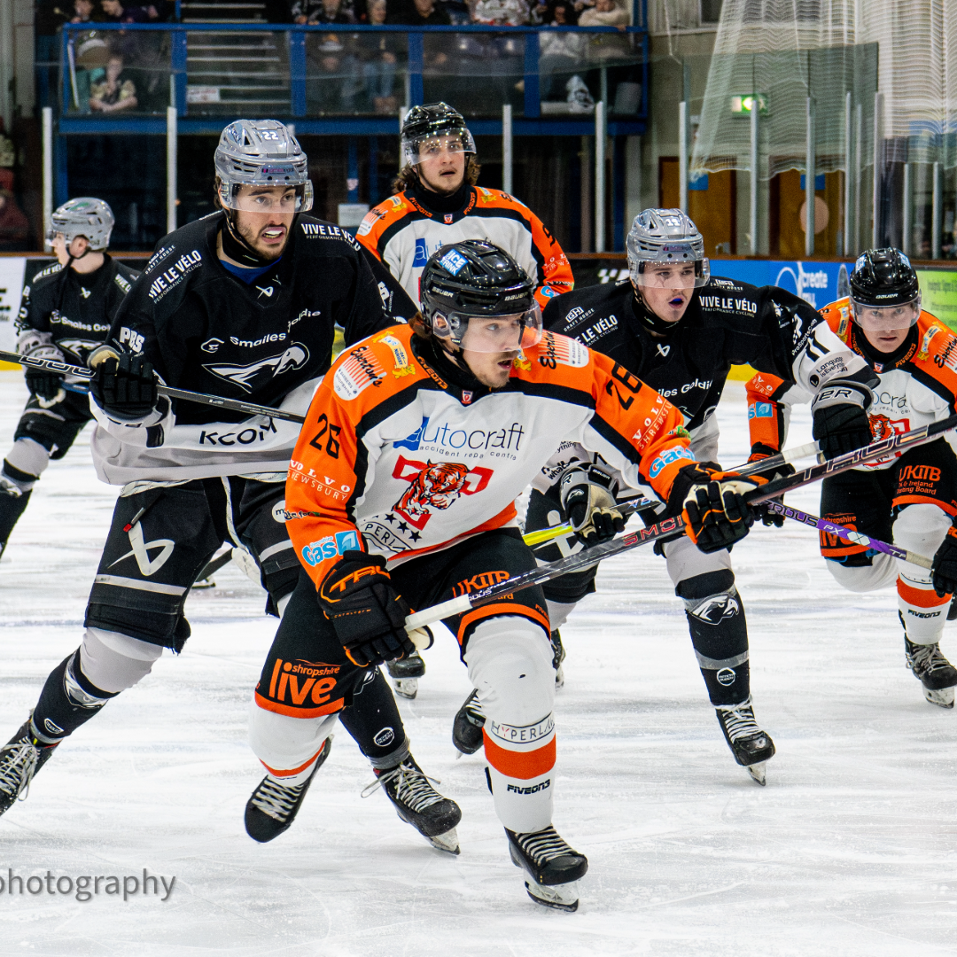 Event image PLAYOFF WEEK 3 - Hull Seahawks vs Telford Tigers