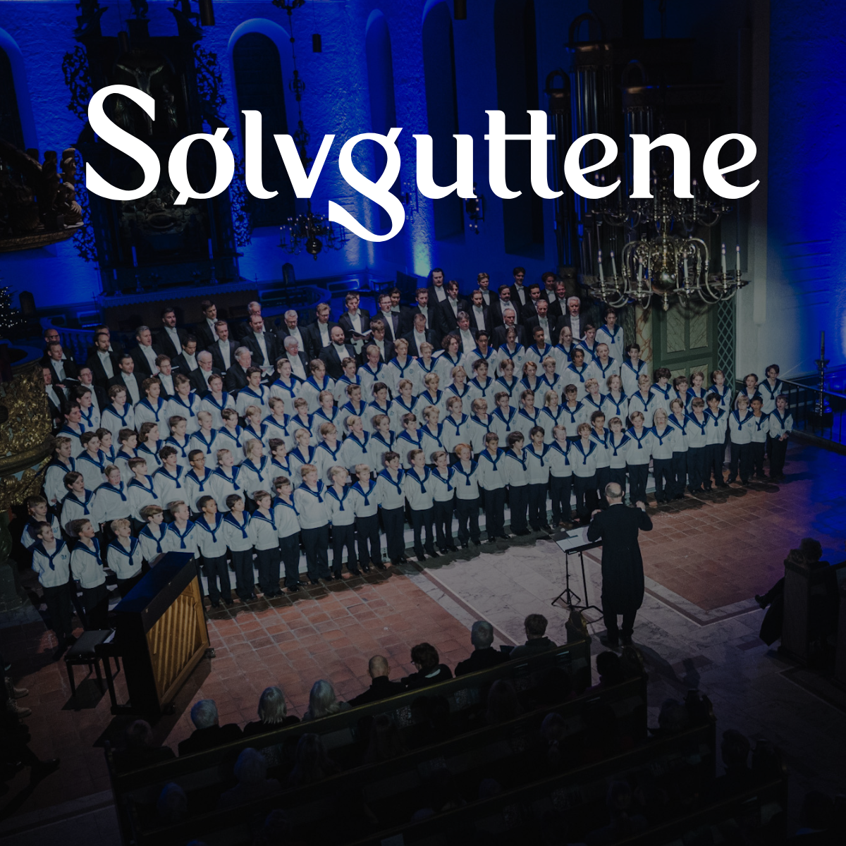 Event image Julekveld med Sølvguttene i Aulaen