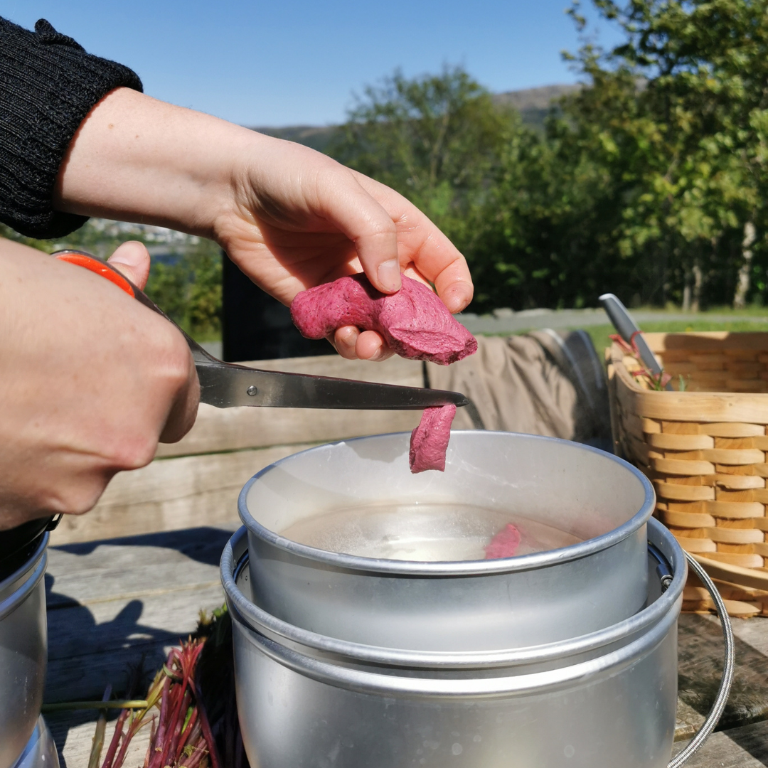 Event image Matkurs: Villmatkurs med sanking og primus