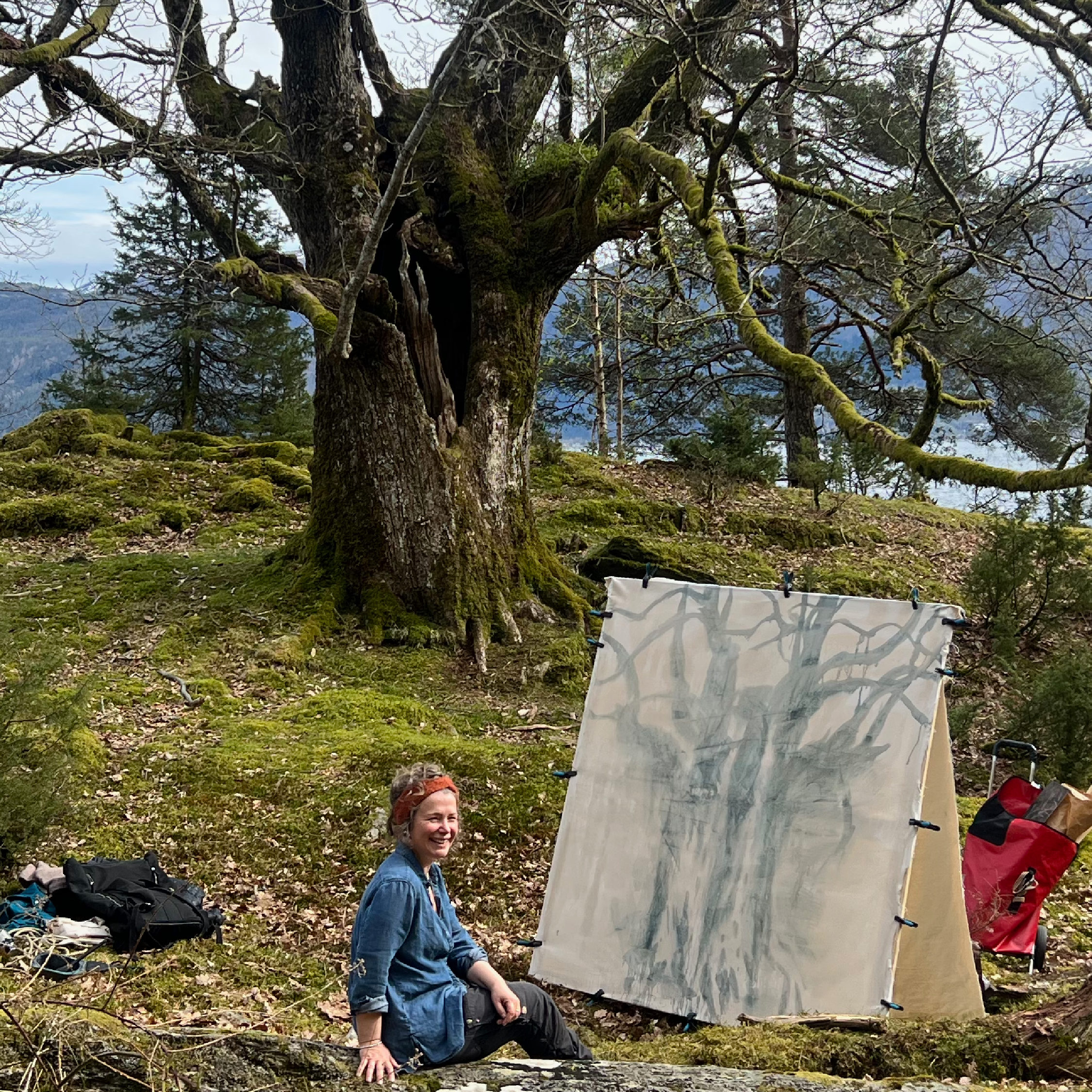 Event image Tegneverksted: lag ditt eget herbarium med ville vekster