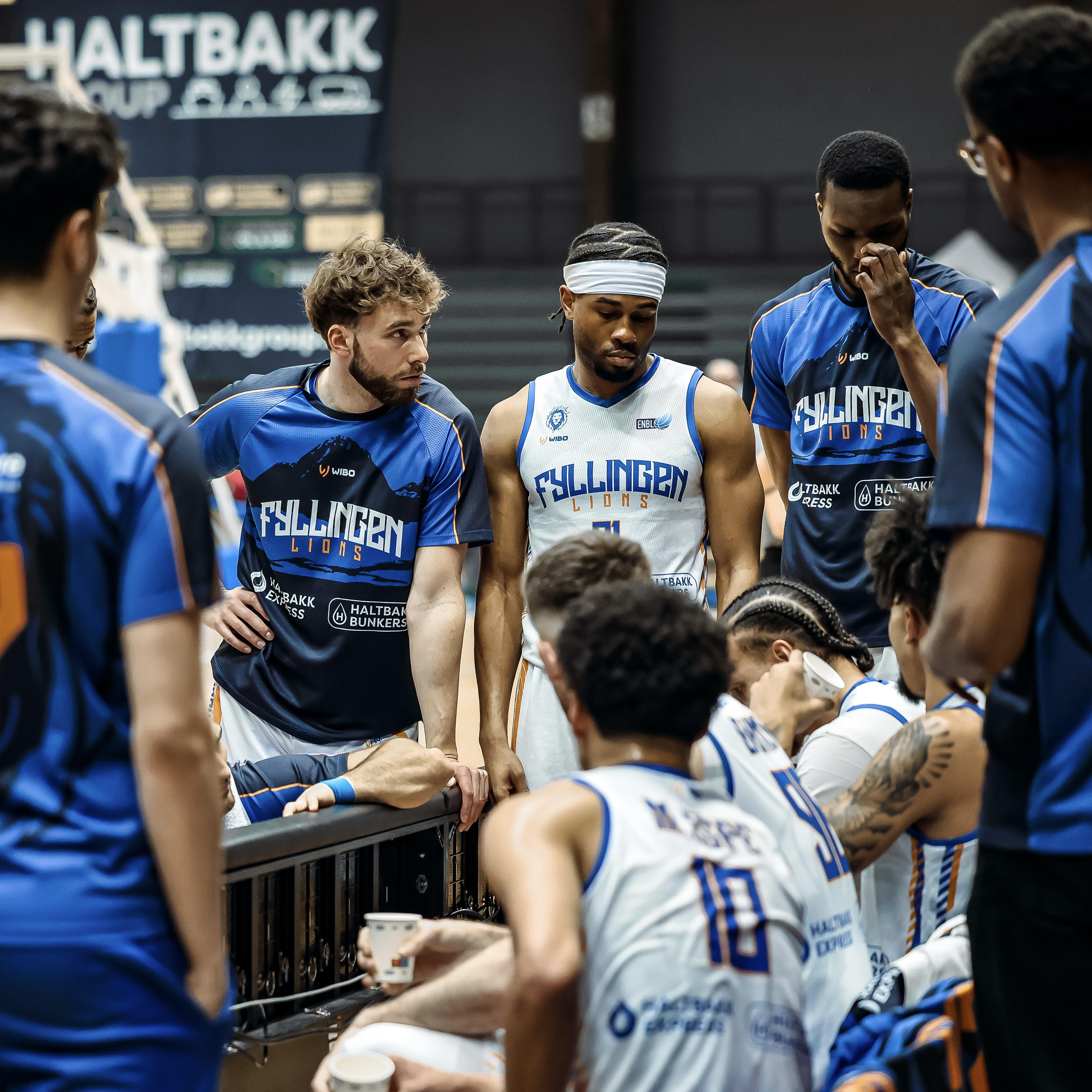 Event image BLNO: Fyllingen Lions vs. Tromsø Storm - velkommen til ny basketfest!