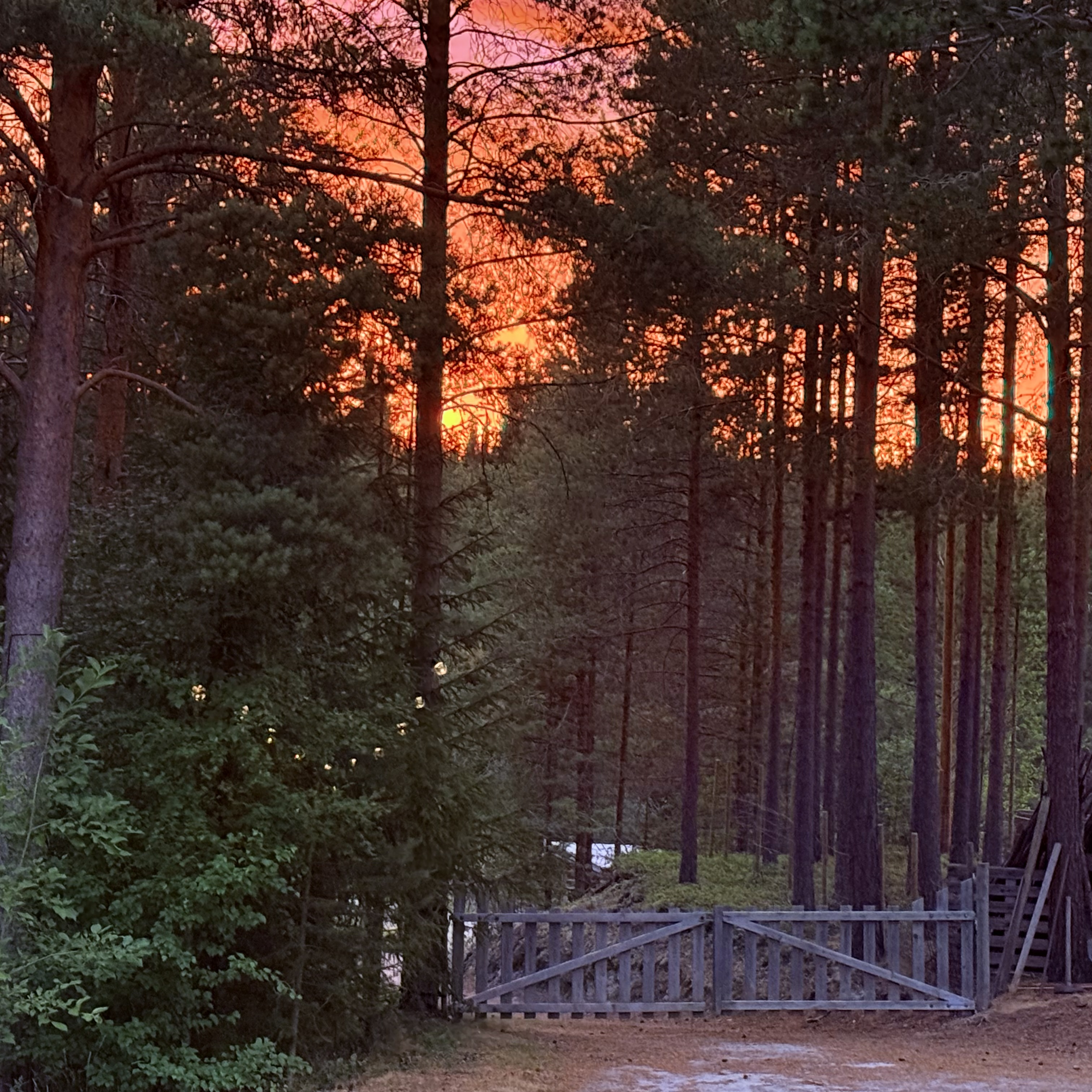 Event image Å ØVE SEG PÅ FREMTIDEN - Verksted for kulturell sjølberging