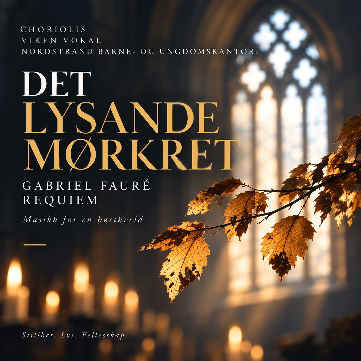 Event image Det Lysande Mørkret