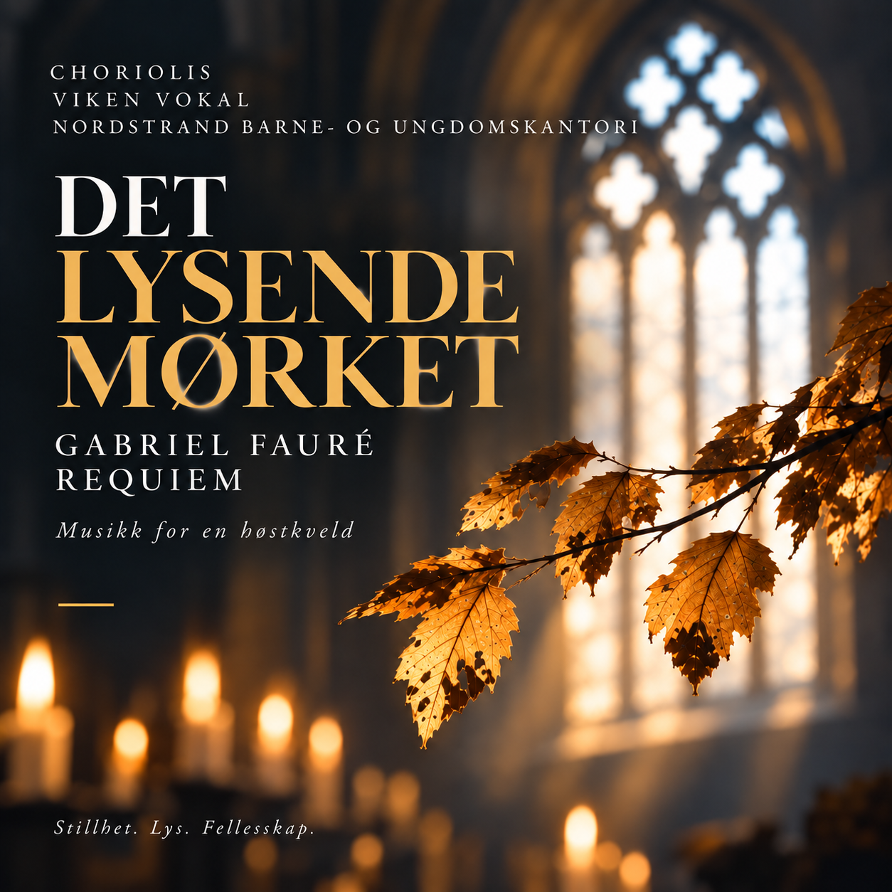 Event image Det Lysende Mørket
