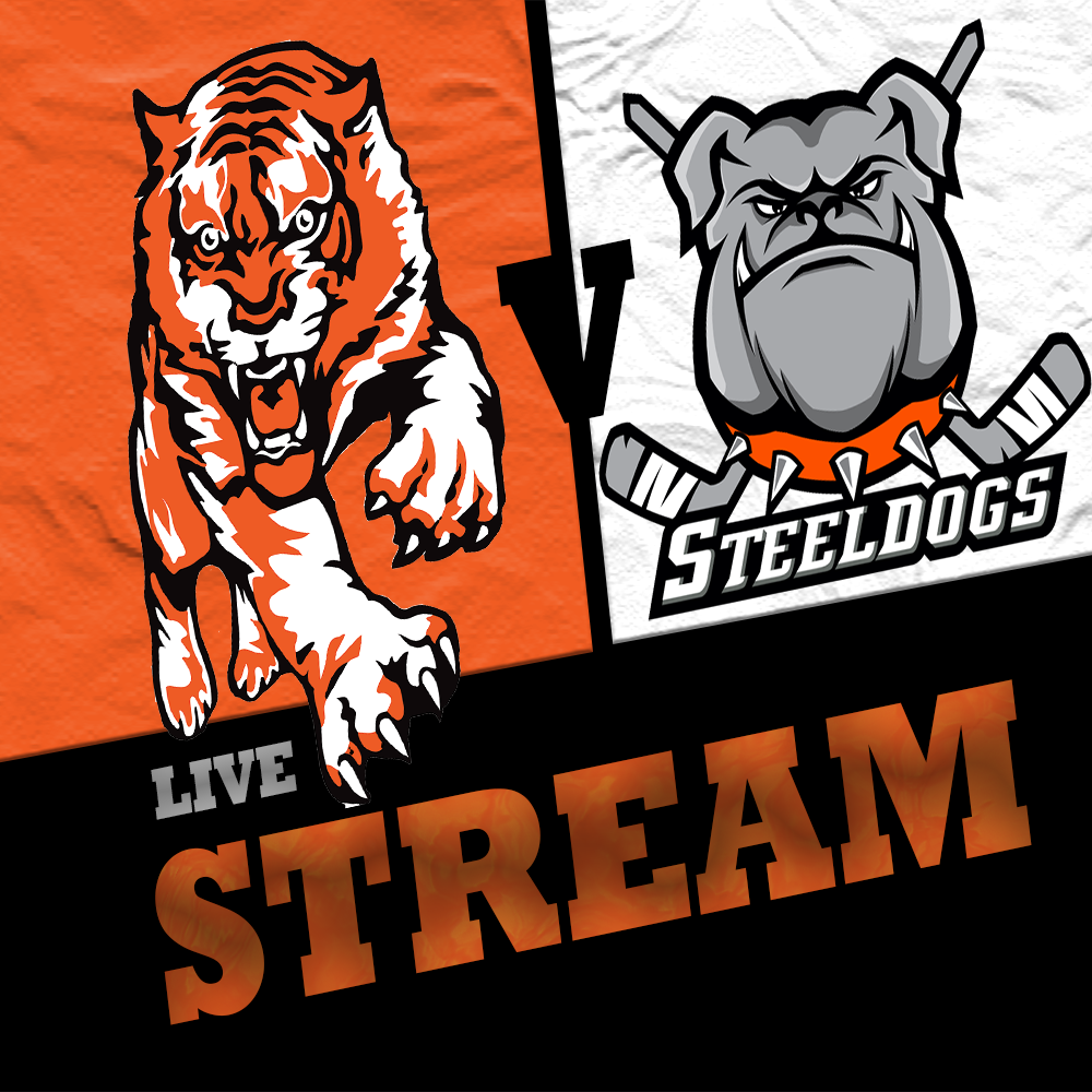 Event image AION Telford Tigers vs Sheffield Steeldogs Live Stream Sunday 22/11/2026 Face Off at 18:00