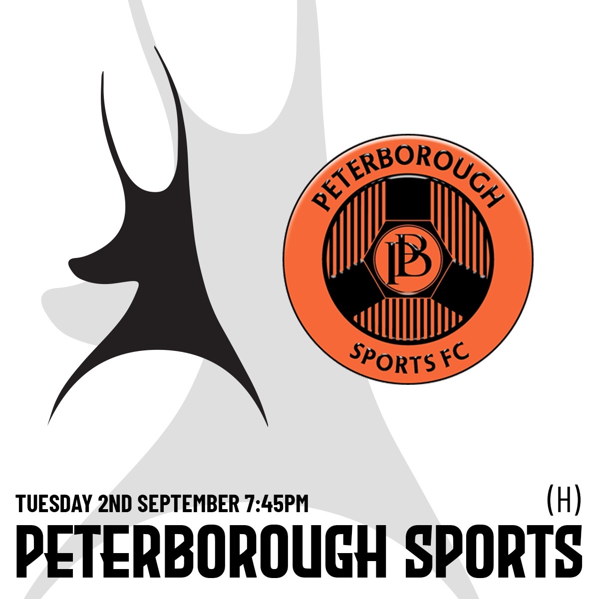 Event image 25.26 AFC Telford Utd v Peterborough Sports