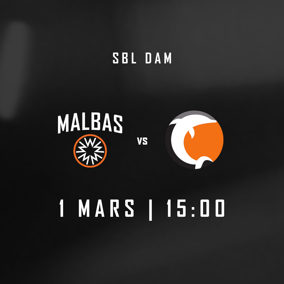 Event image Malbas Damer - Norrköping Dolphins