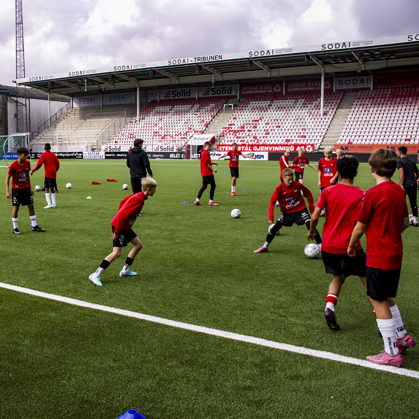Event image FFK Proffdag