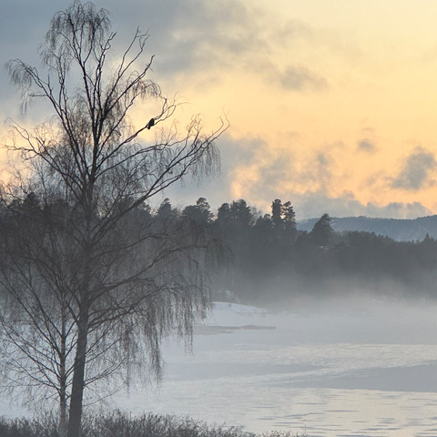Event image Winterreise av Franz Schubert