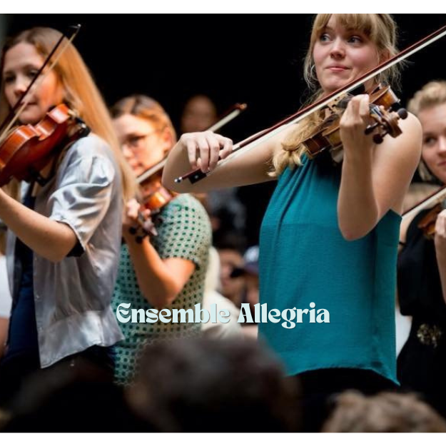 Event image Konsert 2 med Ensemble Allegria og Van Dan