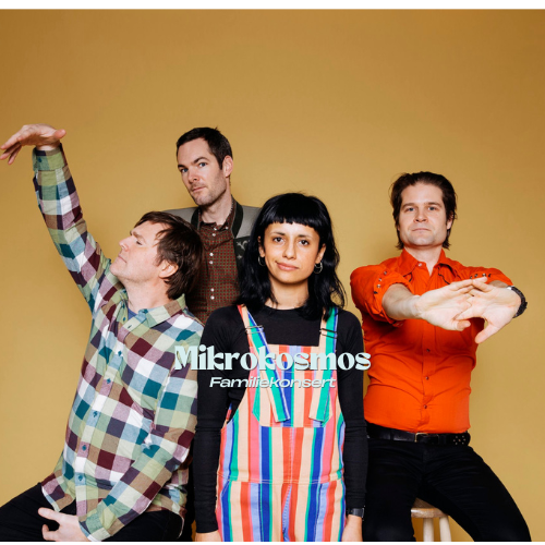 Event image Mikrokosmos og jakten på juleinstrumentet