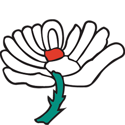 Event image Yorkshire - Vitality Blast T20