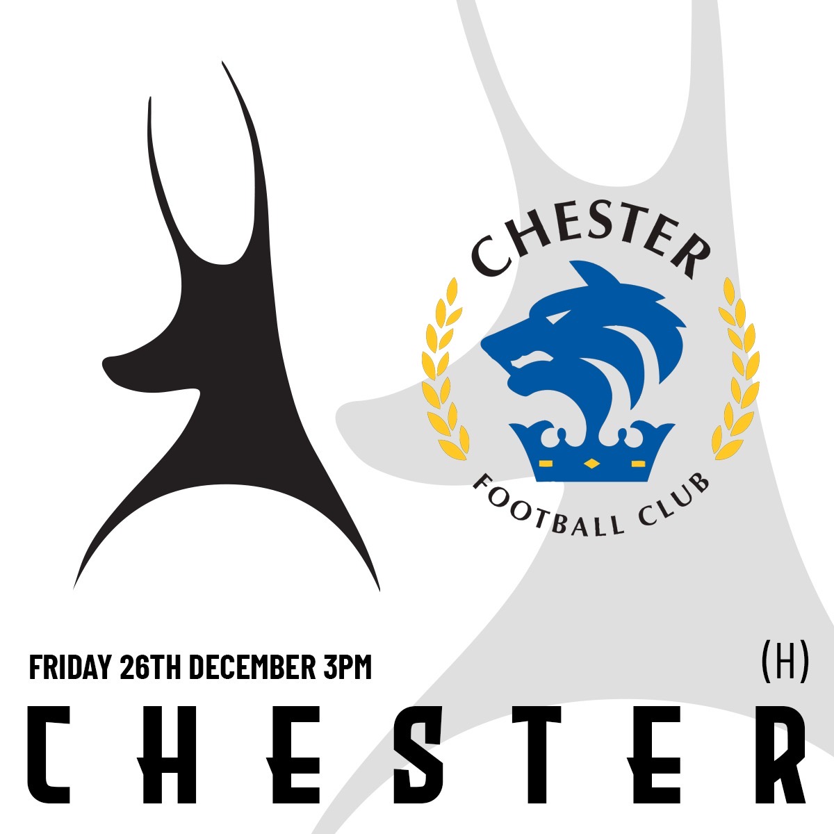 Event image 25.26 AFC Telford Utd v Chester FC - Home